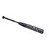 Mizuno F23 CRBN2 -10 Softball Bat