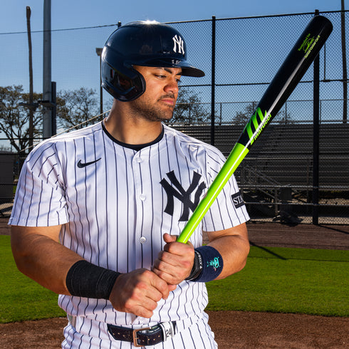 Marucci Jasson Dominguez MARTIAN Pro Model Maple Baseball Bat