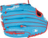 Rawlings Player's Series 10.5in Youth Glove || PL105CB