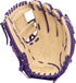 Rawlings Heart of the Hide 11.75in R2G Infield Glove || PROR315-2WC