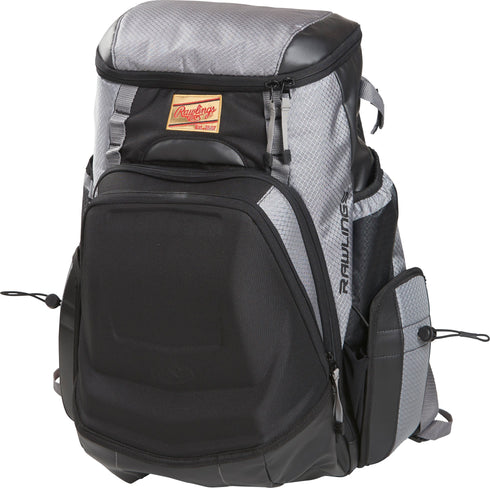 Rawlings The Gold Glove® Series Back Pack