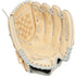 Rawlings Sure Catch Carlos Correa 10.5in Youth Glove || SC105CC