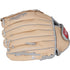 Rawlings Sure Catch Carlos Correa 10.5in Youth Glove || SC105CC