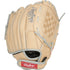 Rawlings Sure Catch Carlos Correa 10.5in Youth Glove || SC105CC