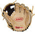 Wilson 2024 A900® PF115 Pedroia Fit™ 11.5in Infield Glove