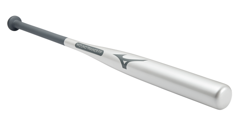 Mizuno Weighted FP Training Bat