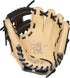 Rawlings Heart of the Hide 9.5in Baseball Training Glove || PRO200TR-2C