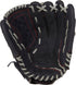 Rawlings Renegade 14in Infield/Outfield Glove || R140BGS