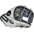 Rawlings Custom Softball Liberty Advanced Glove